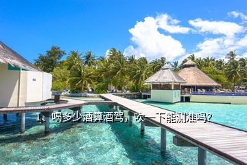 喝白酒吹多少,喝多少酒算酒驾