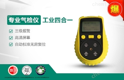 LB-BS4气体检测仪 功能、应用与使用指南